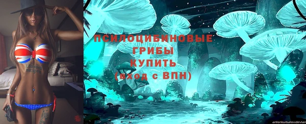 гидропоника Карпинск