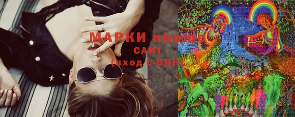 стаф Киреевск