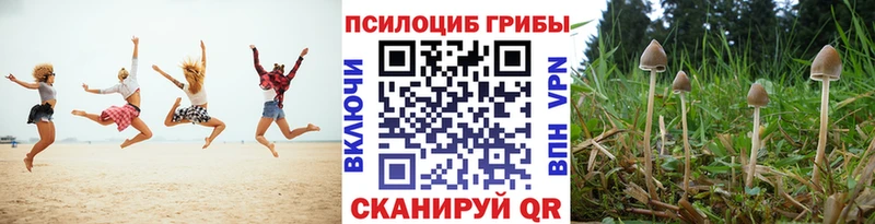 Псилоцибиновые грибы мицелий  Купить закладки  Мариинск 